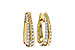 A311-11899: EARRINGS 1.00 TW
