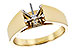 C309-33726: LDS SEMI RG