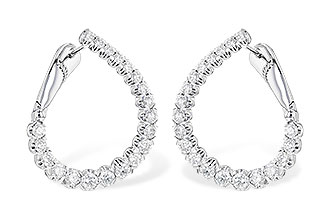 C310-18235: EARR 3.00 TW