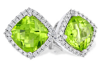 D221-10089: EARR 1.89 PERIDOT 2.04 TGW