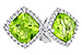 D221-10089: EARR 1.89 PERIDOT 2.04 TGW