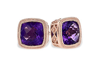 D309-28189: EARR 1.70 TW AMETHYST