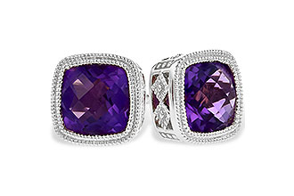 D309-28189: EARR 1.70 TW AMETHYST