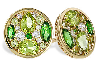 F311-12753: EARR 1.03 TW SEMI-PRECIOUS (TSAV, PER) 1.19 TGW