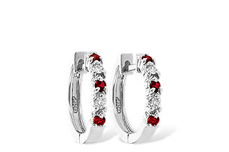 G037-48207: EARRINGS .17 RUBY .26 TGW