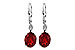 H226-62743: EARR 3.45 TW GARNET 3.50 TGW (9x7MM GAR)