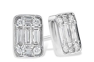H309-28271: EARR .19 BAG .30 TW