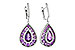 L310-25525: EARR 2.29 TW AMETHYST 2.45 TGW